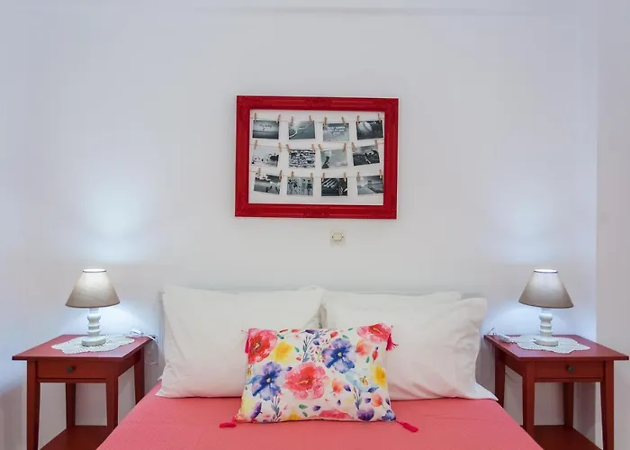 Water Lily By The Sea *