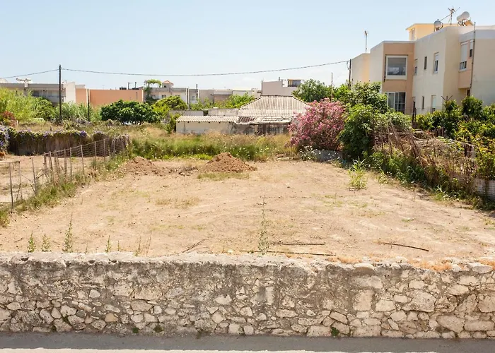 Water Lily By The Sea