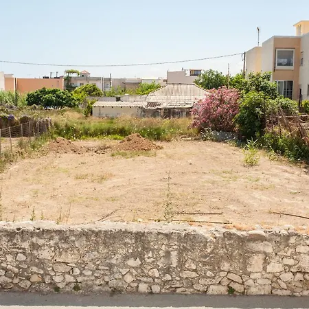 Water Lily By The Sea