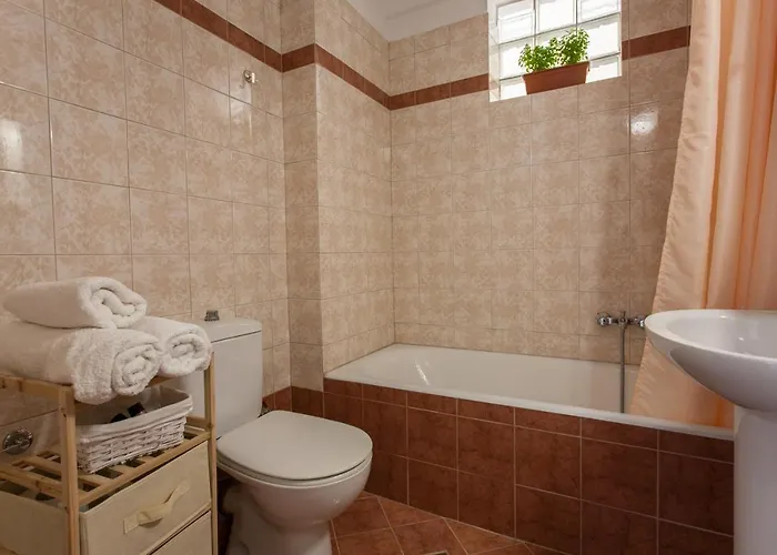 Water Lily By The Sea